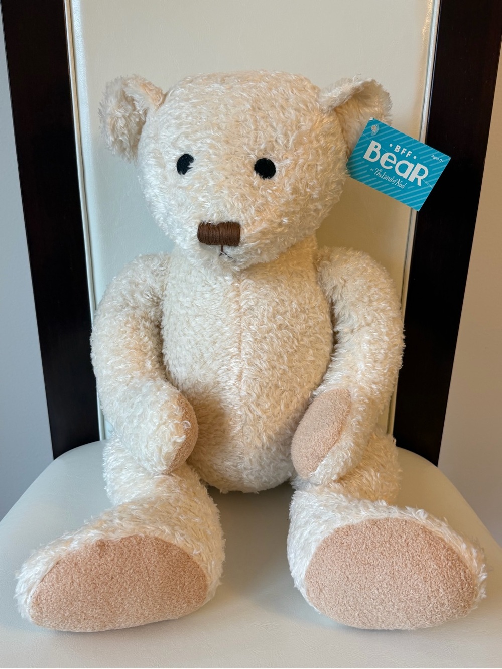 BFF Bear The Land of Nod Plush Cozy Teddy